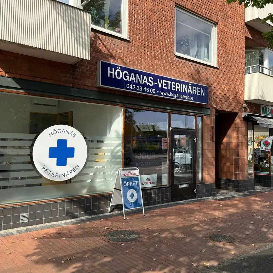 Höganäsveterinärens fasad på Triangelplatsen 18, med skylt och öppetskylt på trottoaren
