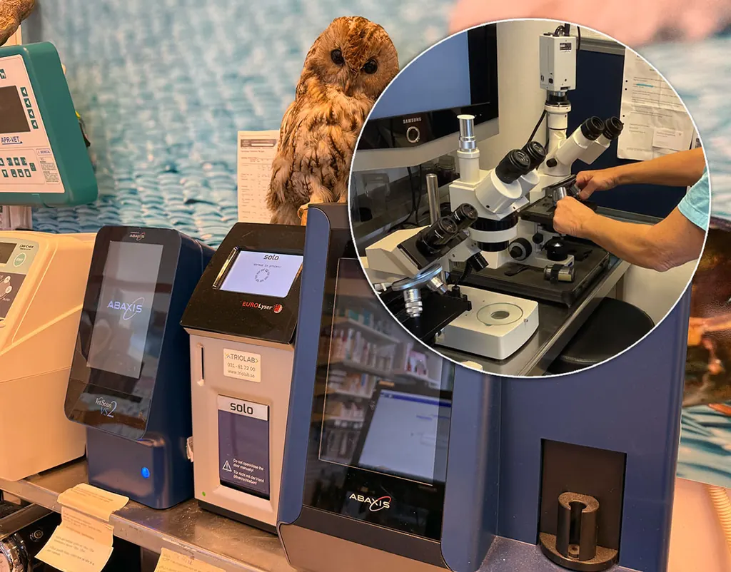 Modern utrustning för provtagning hos Höganäsveterinären