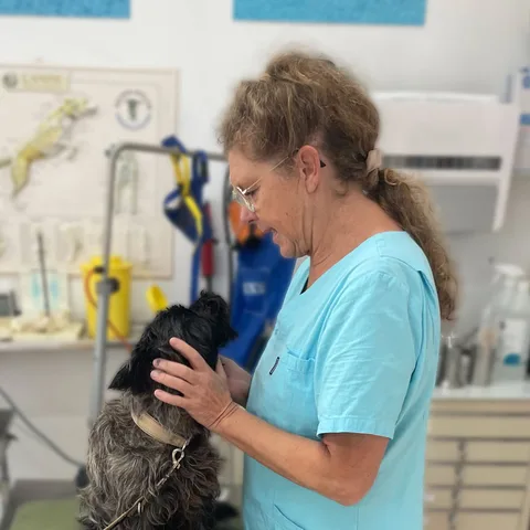 Helena Perack klappar en småfrizig hund på undersökningsbordet