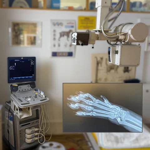 Röntgen- och ultraljudsutrustning hos Höganäsveterinären