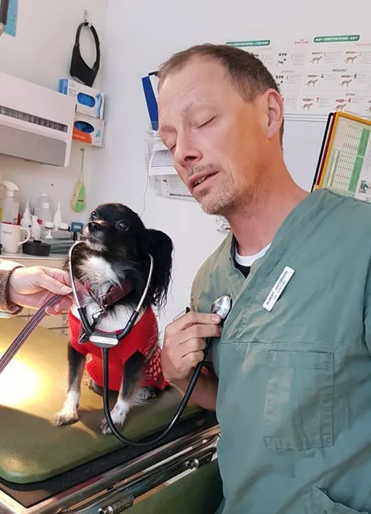 Albert Jacobson blir undersökt av en liten långhårig hund i röd tröja på undersökningsbordet